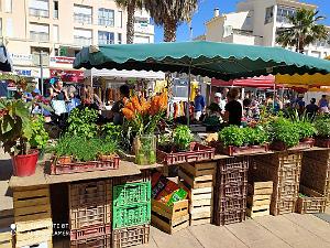 Le Cap d'Agde- Place du Barbecue- 6 juin 2020 - 26